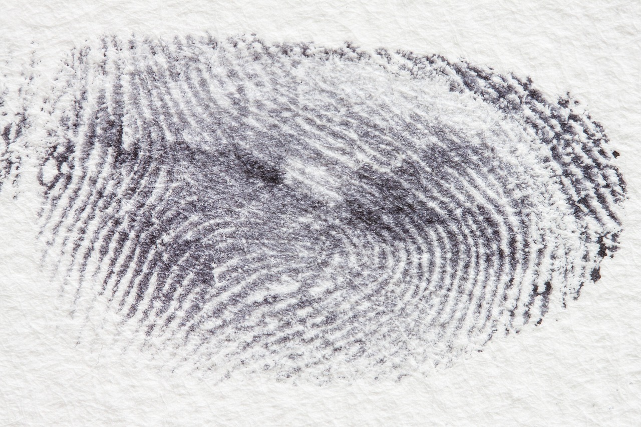 fingerprint, dactylogram, papillary ridges, fingertip, contact, crime, criminal law, detective, finger, security, ink, black, uniqueness, fingerprint, fingerprint, fingerprint, fingerprint, fingerprint